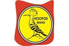 hoopoe