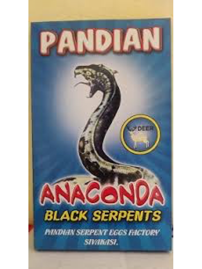 Snake Anaconda